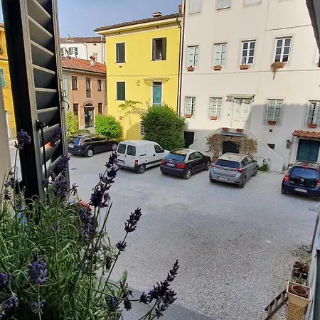 Lucida Lucca